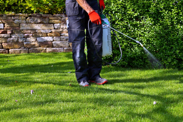 Real Estate Pest Inspections in Garfield Heights, OH